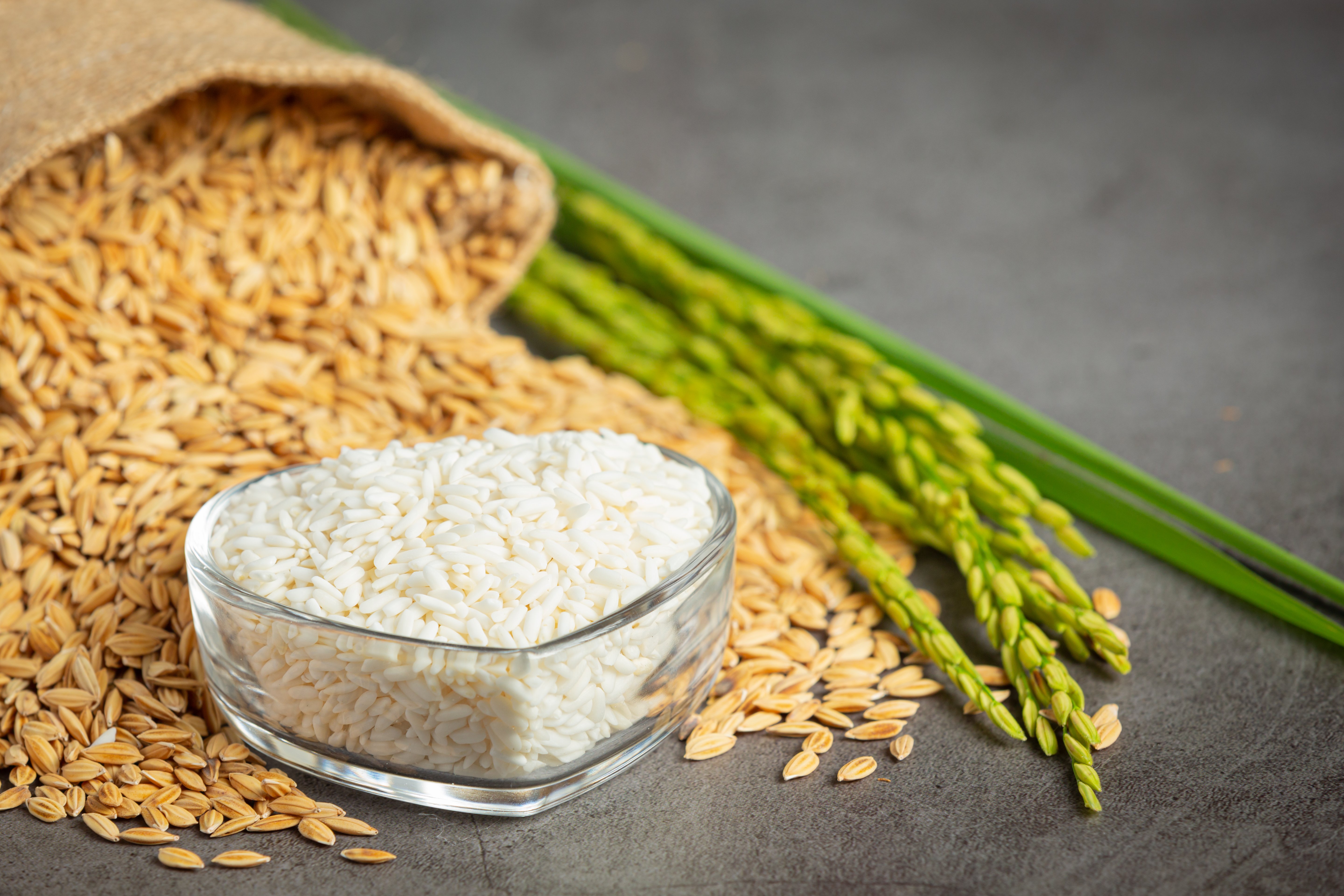 sack-rice-seed-with-white-rice-small-glass-bowl-rice-plant-1